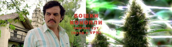 каннабис Аркадак
