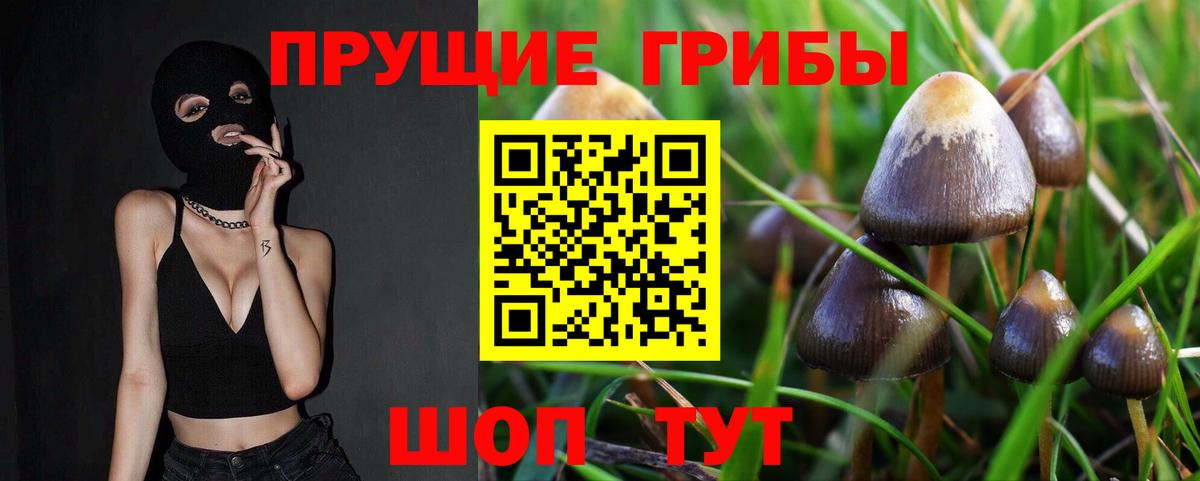 Галлюциногенные грибы Psilocybe  Вход с VPN  Кубинка 